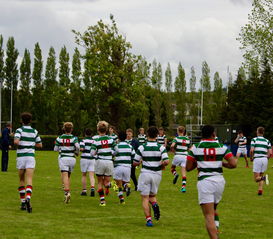 hth华体育官方入口-公牛队迎来历史性胜利,士气爆棚,公牛 队