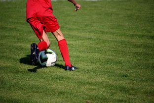 华体会体育官方在线-国足球员体能恢复训练取得进展,国足体能训练标准